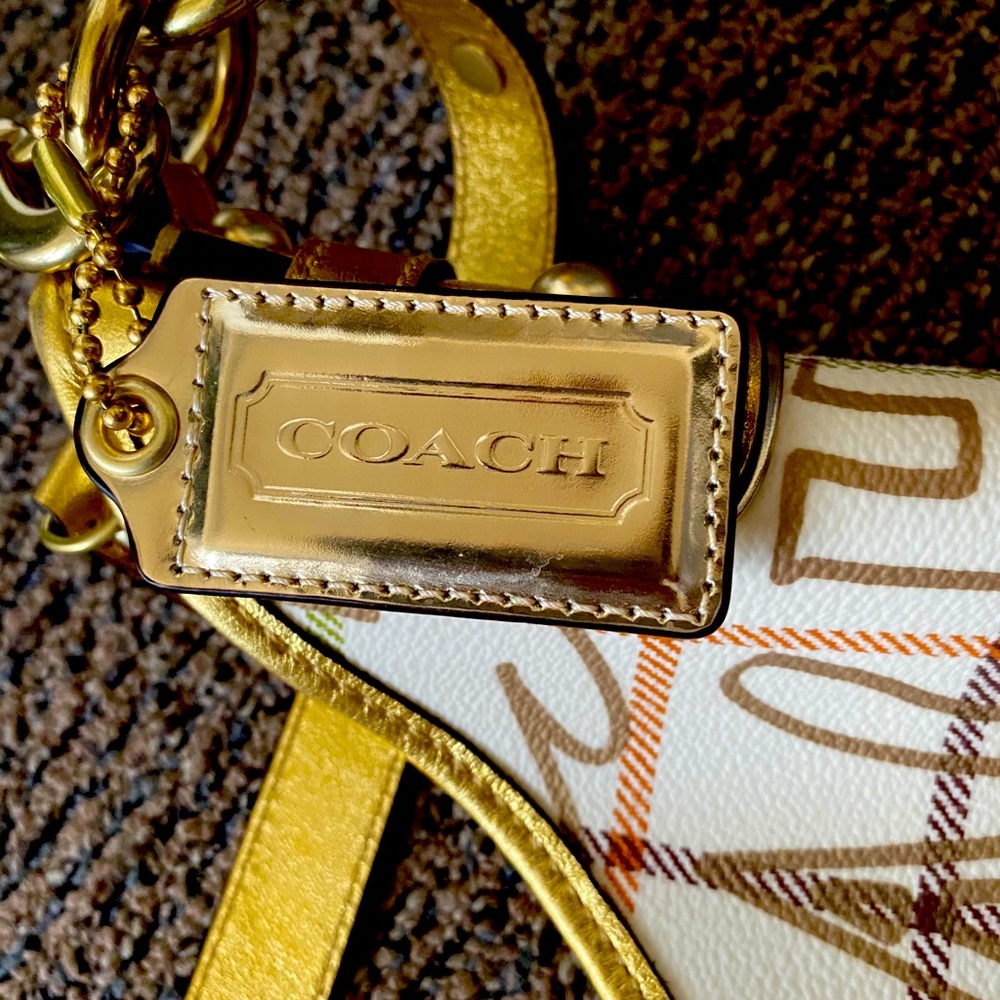 COACH Chelsea Tattserall graffiti hobo bag